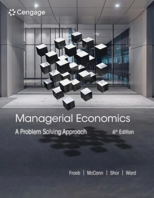 Managerial Economics: A Problem Solving Approach Hardcover