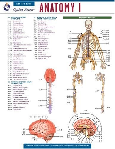 Anatomy I (Quick Access), Editors of Rea