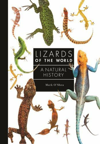 Lizards of the World : A Guide to Every Family, Hardcover by O’Shea, Mark, Li…