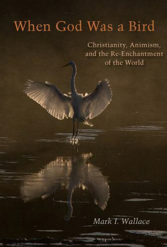 Groundworks: Ecological Issues in Philosophy and Theology Ser.: When God Was…
