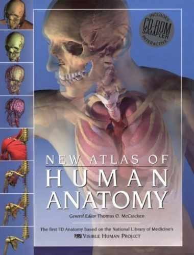 The New Atlas of Human Anatomy – Hardcover, by McCracken Thomas – Very Good u