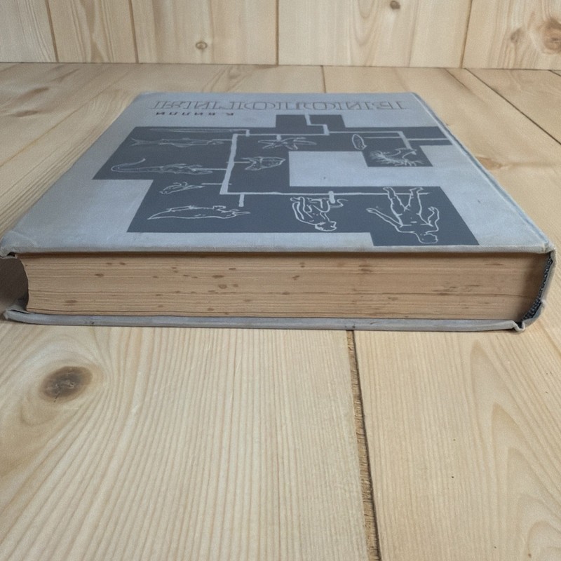 Биология К. Вилли 1968 Claude Villee Biology Russian USSR Illustrated Textbook gallery