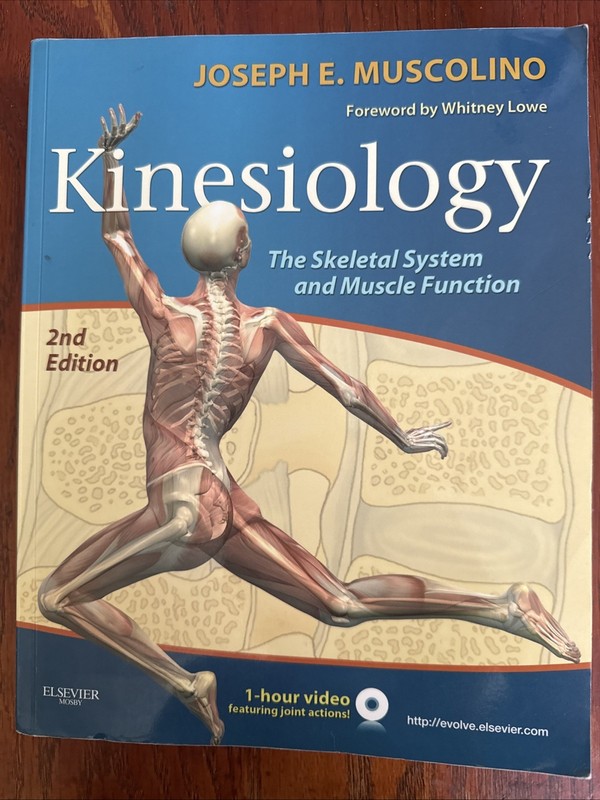 .net Developers Ser.: Kinesiology : The Skeletal System and Muscle Function…