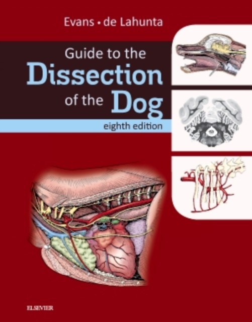 GUIDE TO THE DISSECTION OF THE DOG by Howard E., PhD Professor Emeritus of