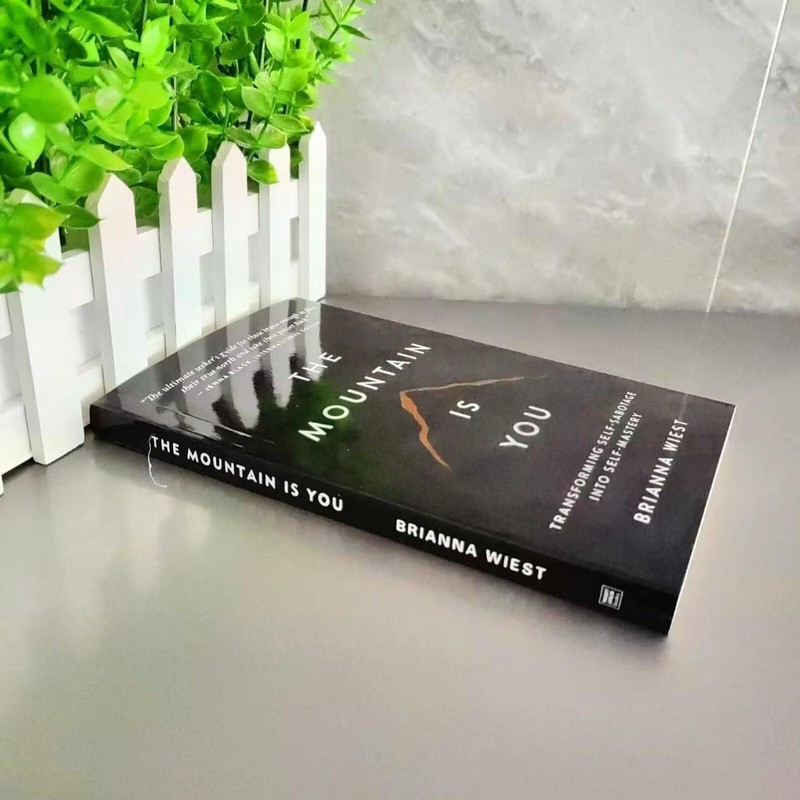 the Mountain Is You: Transforming Self-sabotage into Self-mastery English Books gallery