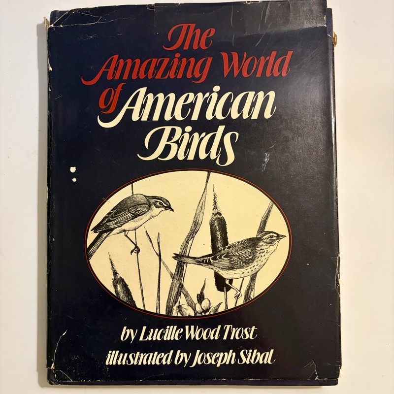 The Amazing World of American Birds, by Lucille Wood Trost. Illustrated. 1975