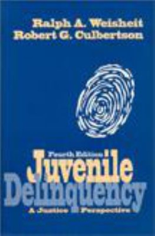 Juvenile Delinquency : A Justice Perspective Paperback