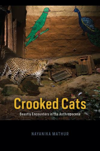 Crooked Cats : Beastly Encounters in the Anthropocene, Hardcover by Mathur, N…