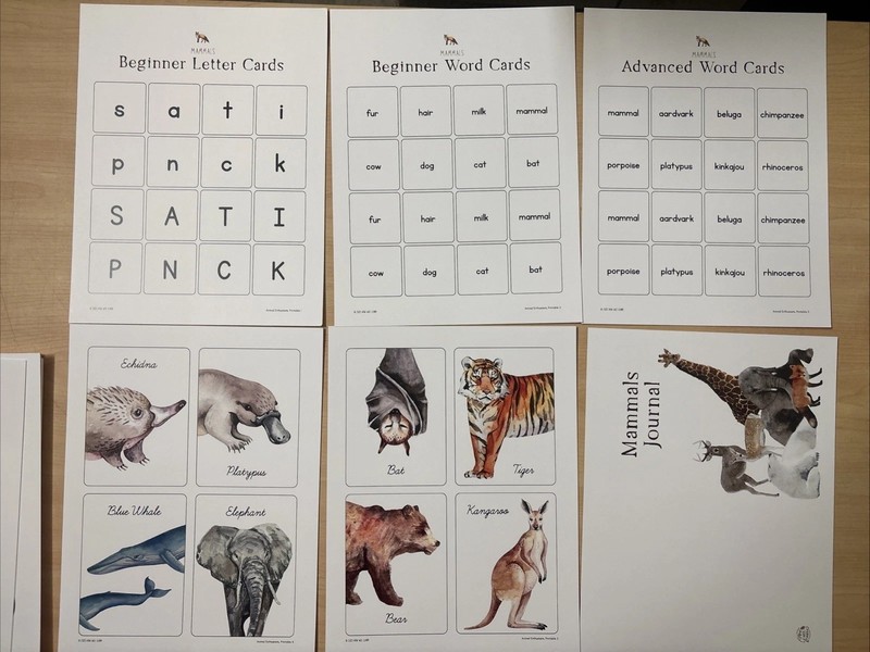 How Wee Learn Homeschool Curriculum Printables Kindergarten Science Animals Set gallery