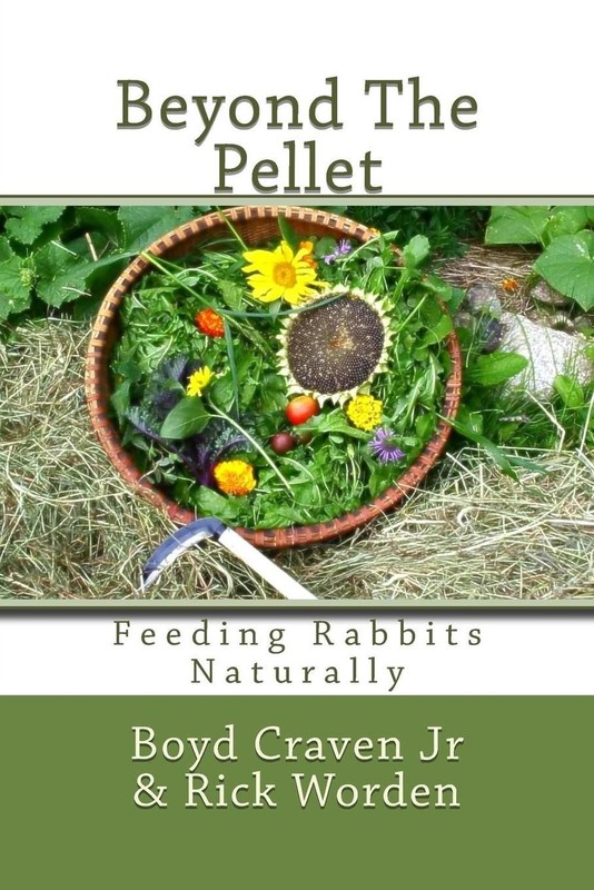 Beyond The Pellet: Feeding Rabbits Naturally by Boyd Craven Jr (English) Paperba