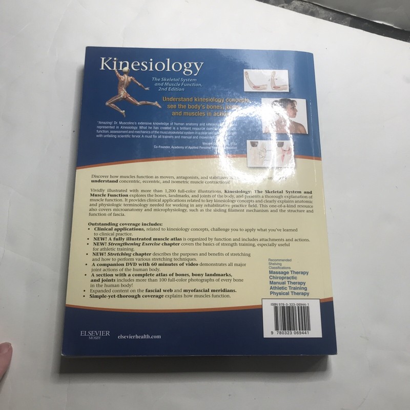 Kinesiology Book By Joseph E Muscolino Paperback 4401 gallery