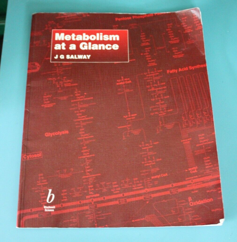 LARGE FORMAT Metabolism at a Glance SELWAY 11X13 PAGES