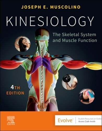 Kinesiology: The Skeletal System and Muscle Function by DC Muscolino, Joseph E