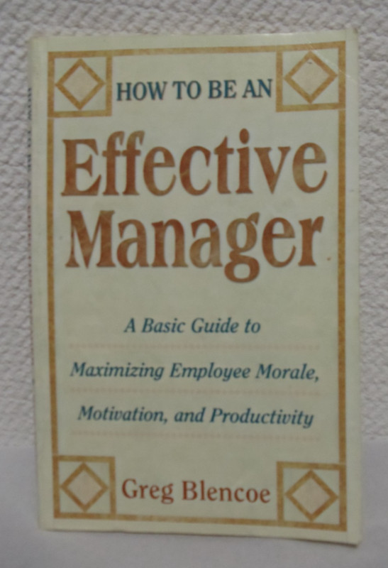 How to be an Effective Manager A Basic Guide to Maximizing Employee Morale