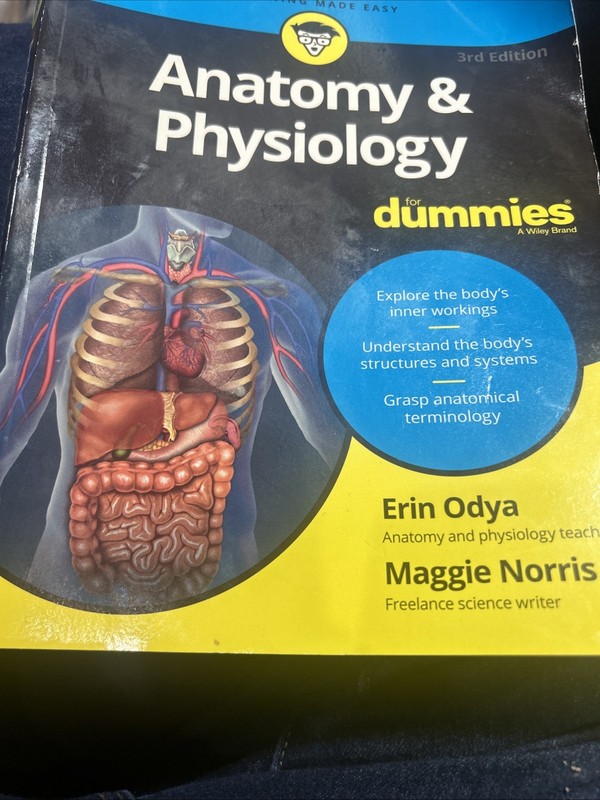 Anatomy & Physiology for Dummies 3rd Edition by Erin Odya and Maggie Norris