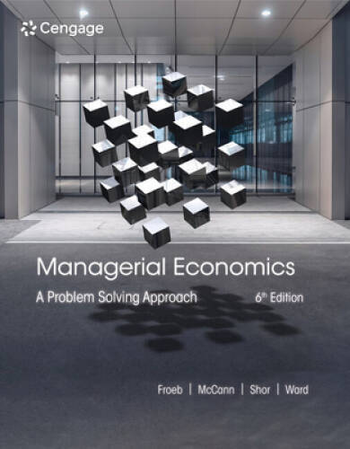Managerial Economics: A Problem Solving Approach – Paperback – GOOD