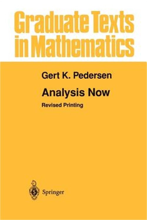 Analysis Now (Paperback or Softback)