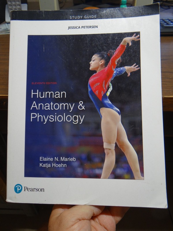 Study Guide for Human Anatomy & Physiology, Marieb, Hoehn, 11th ed.