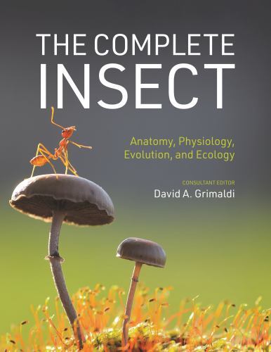 Complete Insect : Anatomy, Physiology, Evolution, and Ecology, Hardcover by G…