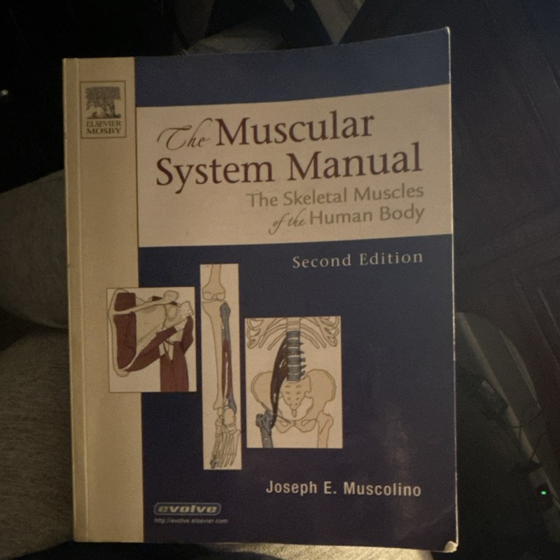Muscular System Manual 2nd Ed Hardcover Joseph E. Muscolino Elsevier Mosby