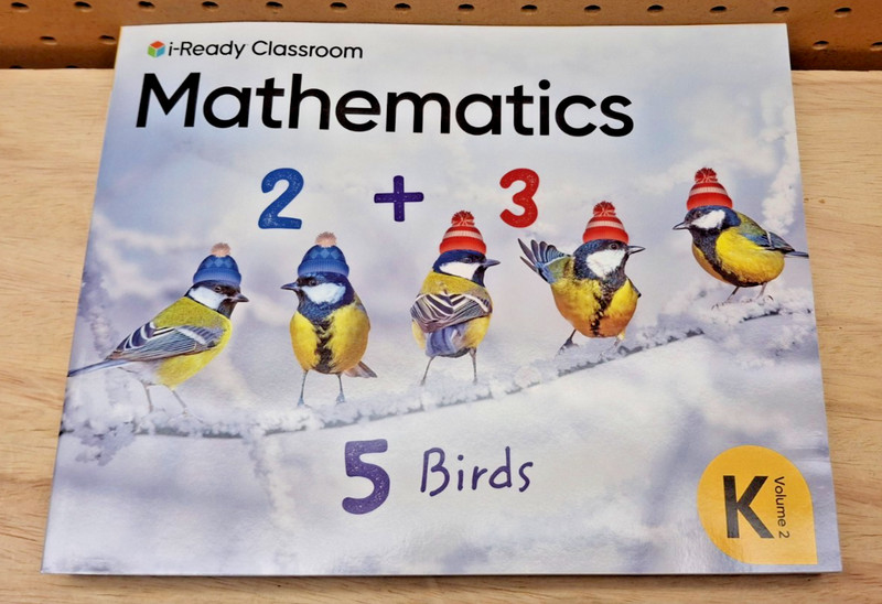 i-Ready Classroom Mathematics Volume 2 Grade K BRAND NEW MULTIPLE AVAILABLE