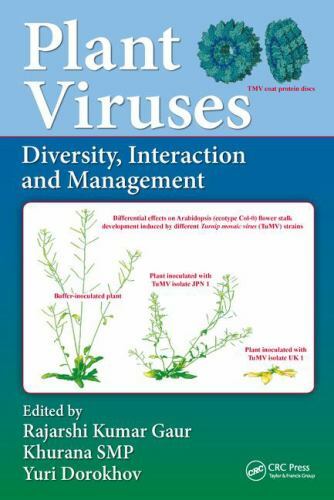 Plant Viruses : Diversity, Interaction and Management, Hardcover by Gaur, Raj…