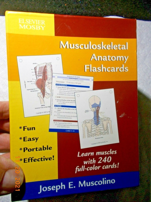 Musculoskeletal Anatomy Flashcard Set of 240 Color Cards, Joseph E. Muscolino