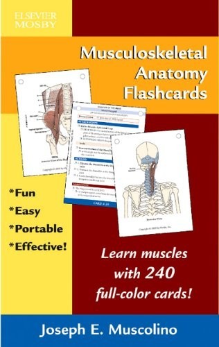 Musculoskeletal Anatomy Flashcards by Muscolino, Joseph E. Cards Book The Fast